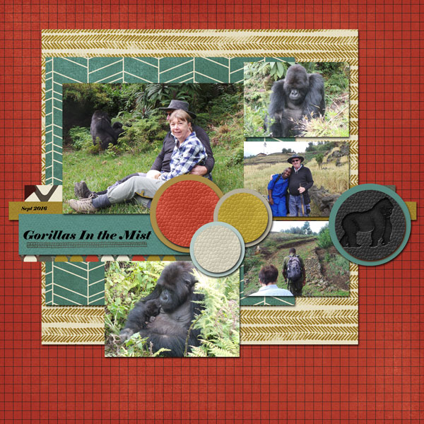 Gorillas In the Mist