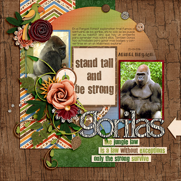 gorillas