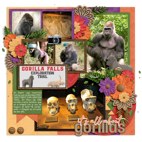 gorillas