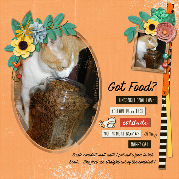 Got Food?