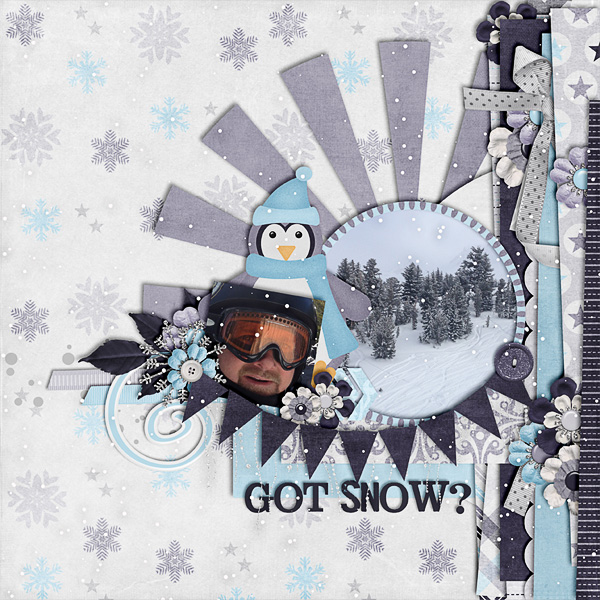 Got Snow?