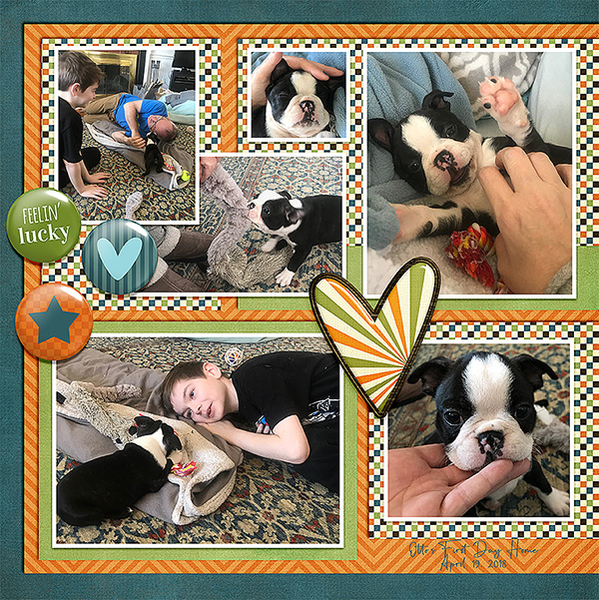 Gotcha Day 2