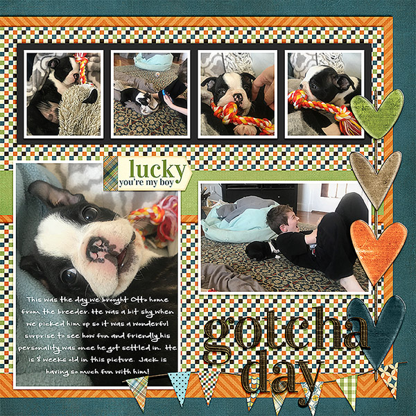 Gotcha Day