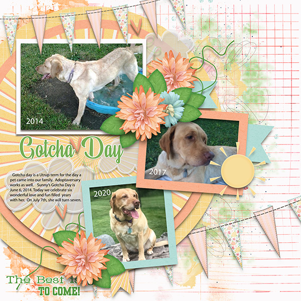 Gotcha Day