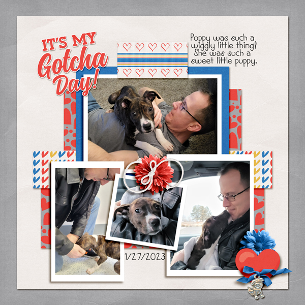 Gotcha Day