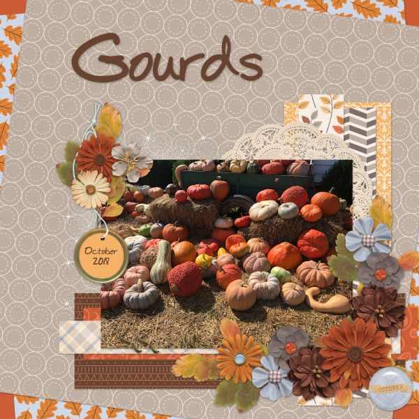 Gourds