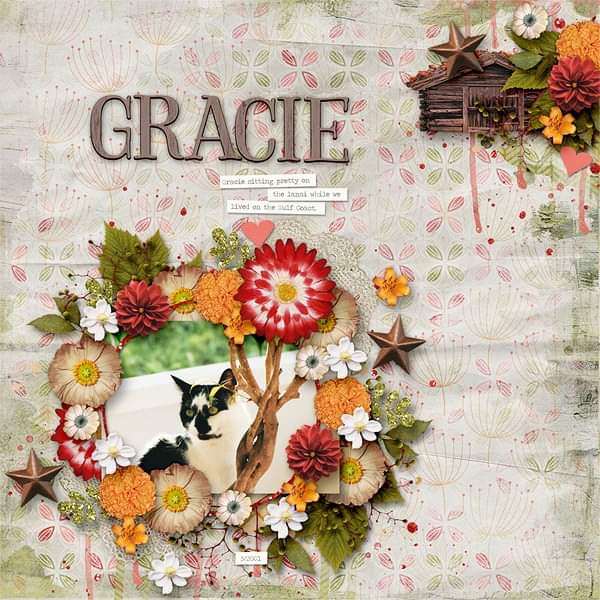 Gracie
