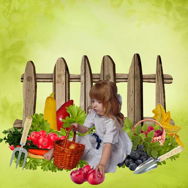 Graine de potager