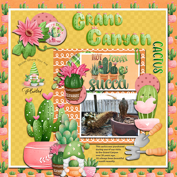Grand Canyon Cactus