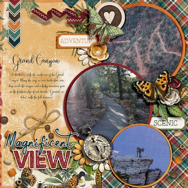 Grand Canyon Trails