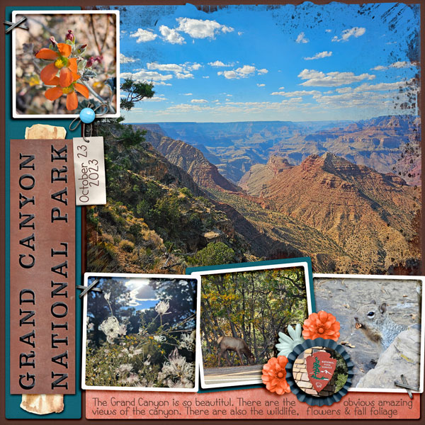 Grand Canyon Views