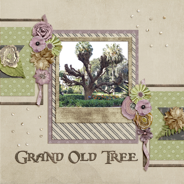 Grand Old Tree