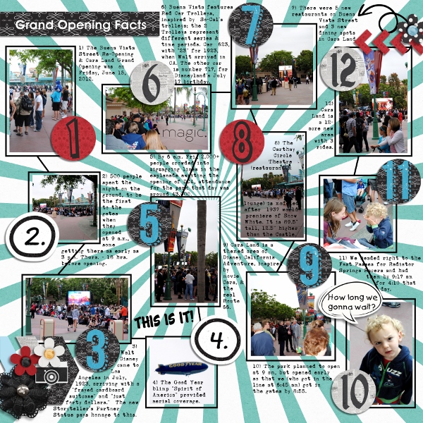 Grand Opening Facts