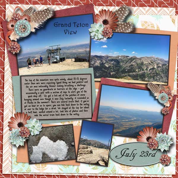 Grand Teton View