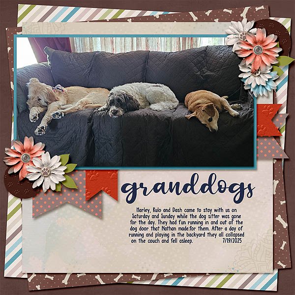 Granddogs web.jpg
