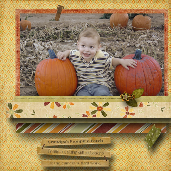 Grandpa_s_pumpkin_patch_2005_copy