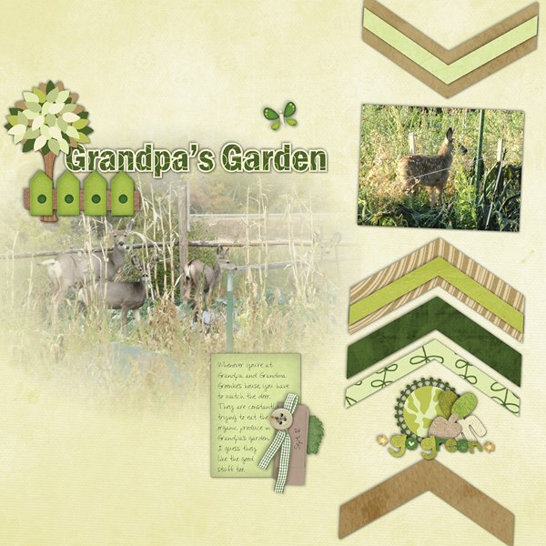 Grandpa's Garden