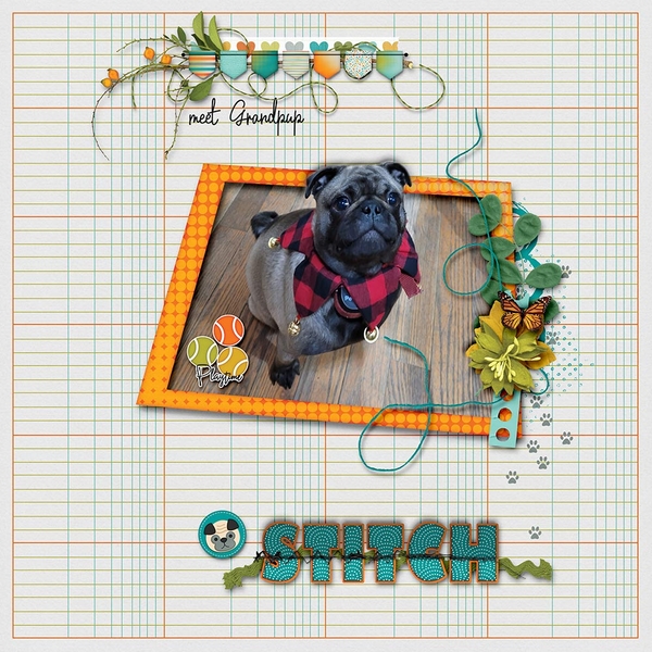 Grandpup