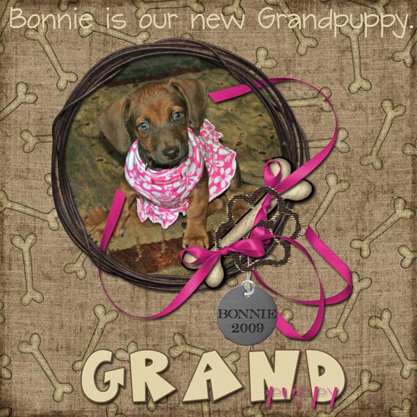 Grandpuppy Bonnie