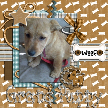 Grandpuppy