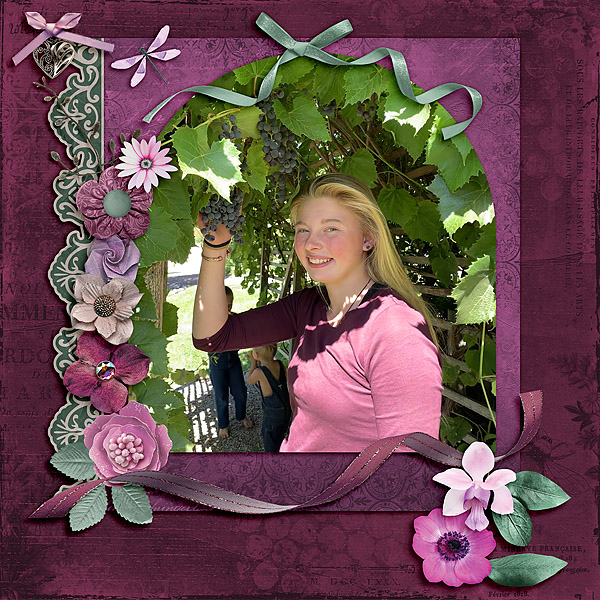 Grape arbor