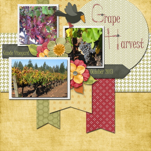 Grape Harvest