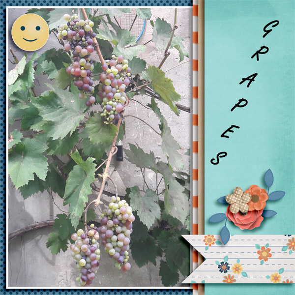 Grapes