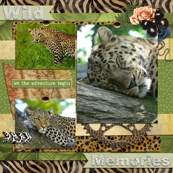 Graphic Styles