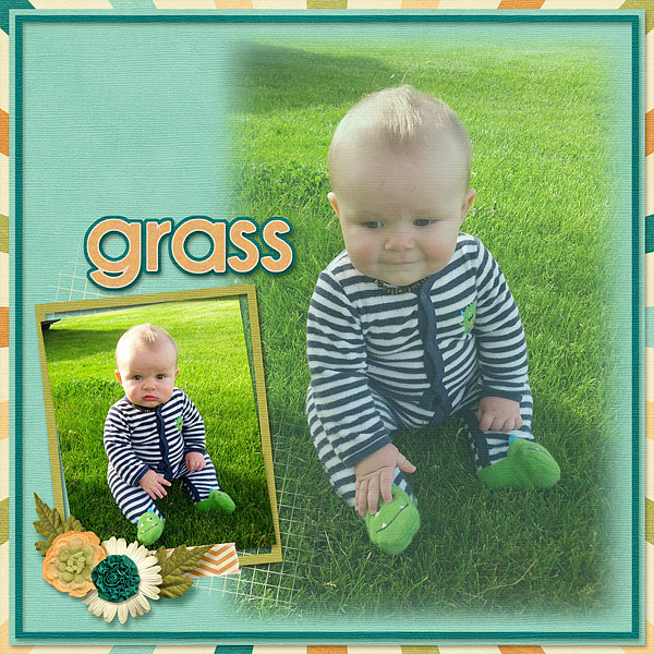 Grass