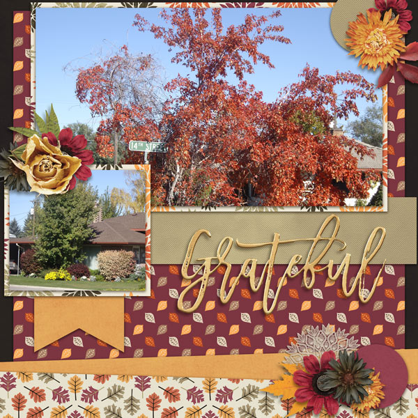 Grateful for Fall