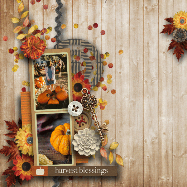 Grateful for Harvest