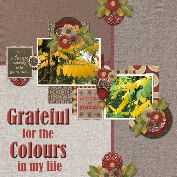 Grateful for the Colours