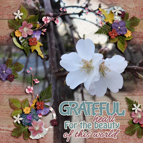 Grateful Heart