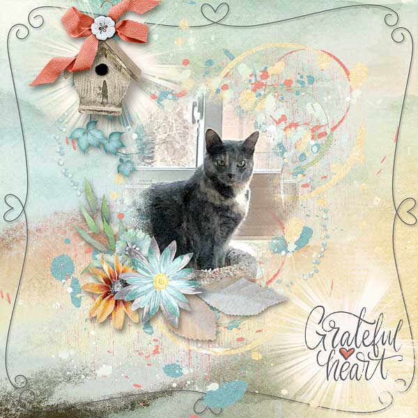 Grateful Heart