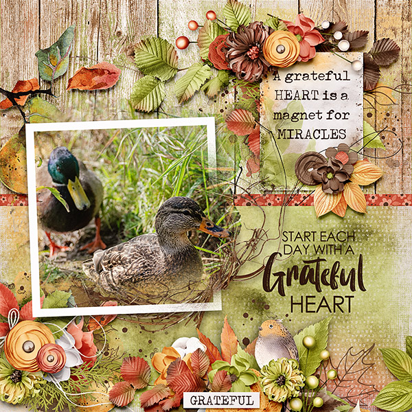 Grateful Heart