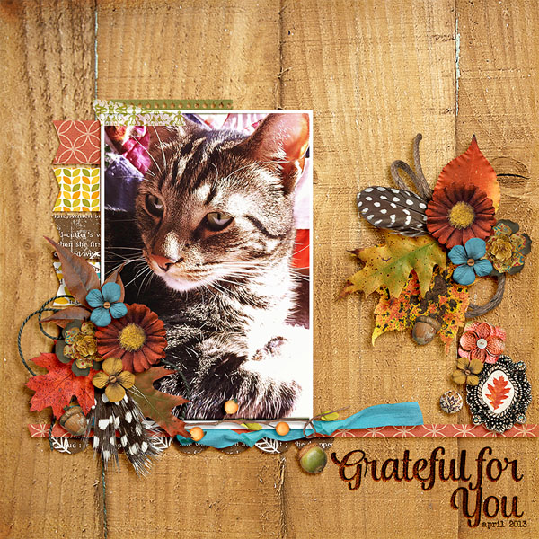 gratitude