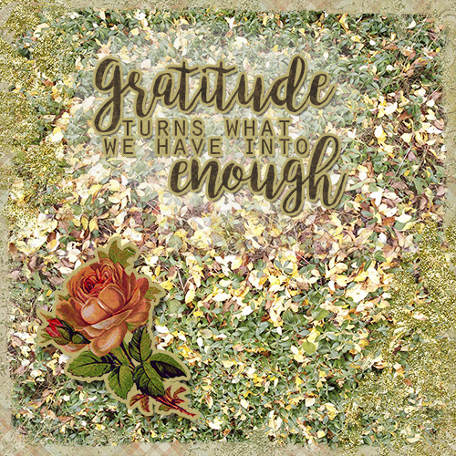 Gratitude