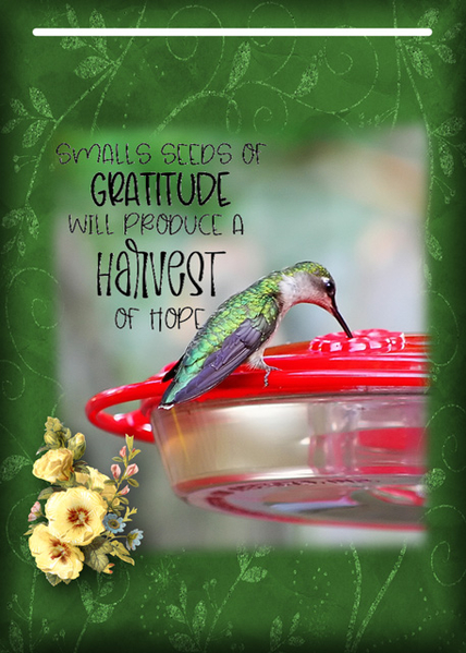 Gratitude