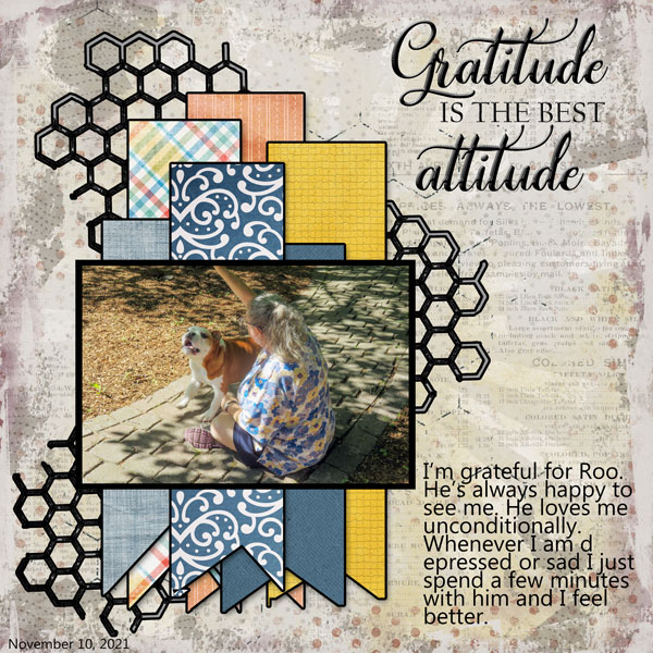 GRATITUDE_GRATITUDE