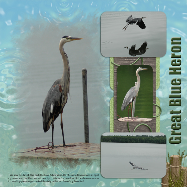 Great Blue