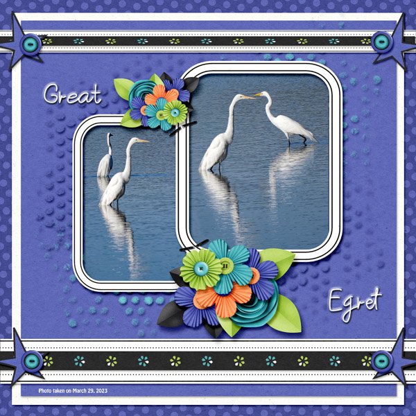 Great Egret small.jpg
