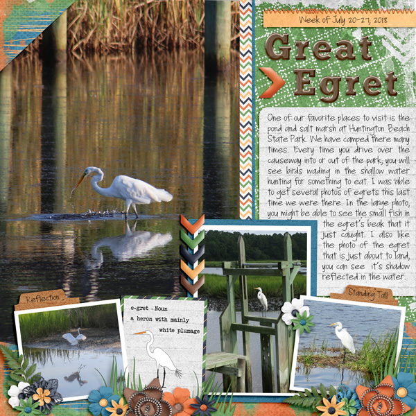 Great Egret