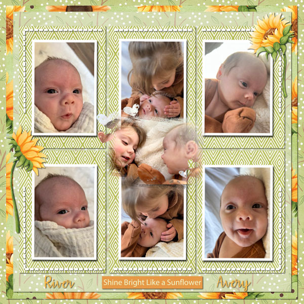 Great Grands-My Sunflowers