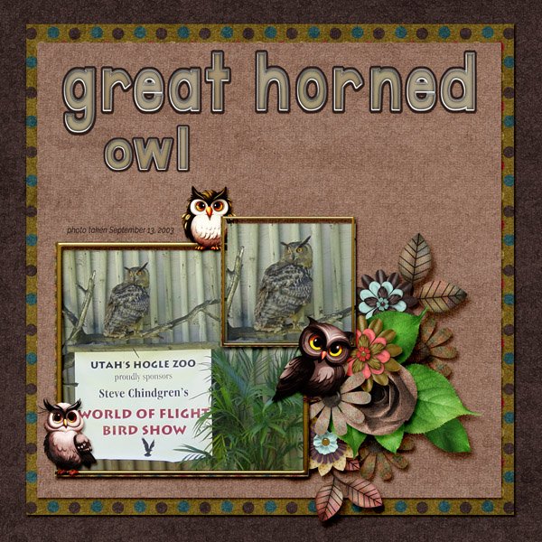 Great Horned Owl small.jpg