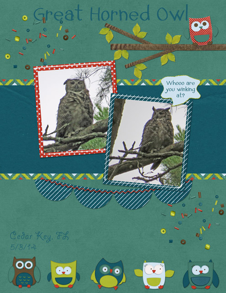 Great Horned Owl