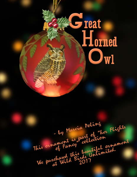 Great Horned Owl