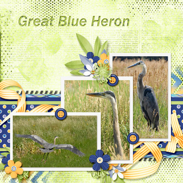 Great_Blue_Heron_small