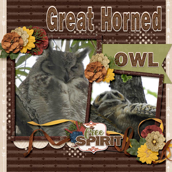 Great_Horned_Owl-It_Takes_Two_vol_20