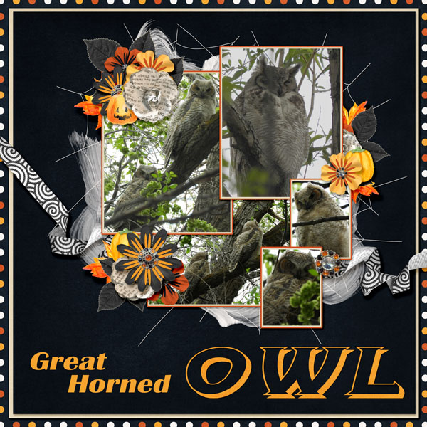 Great_horned_owl_just_say_boo