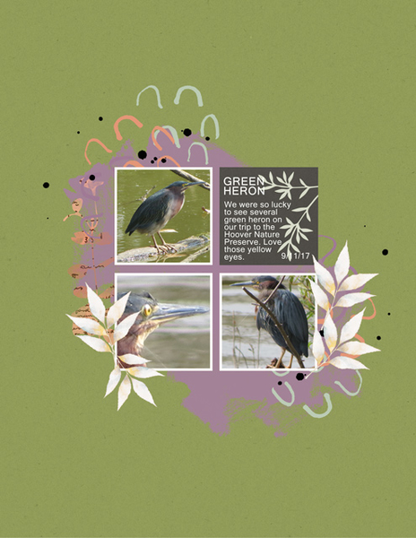 Green Heron